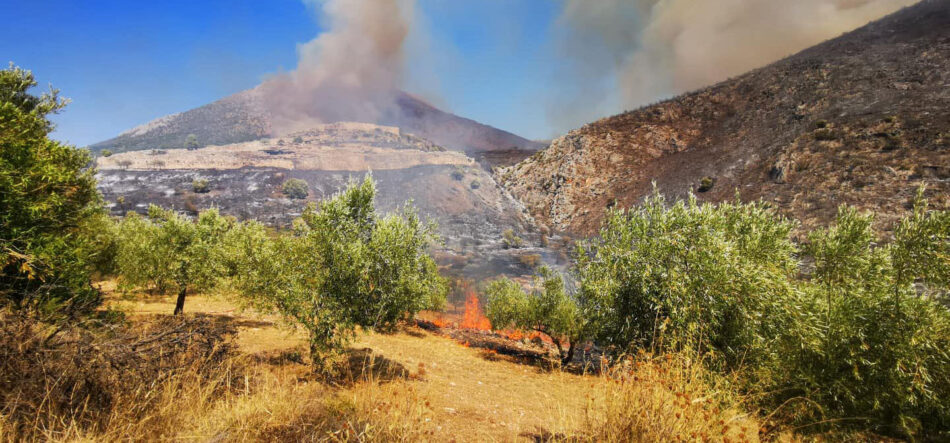 Πρώτη εκτίμηση για την πυρκαγιά στον αρχαιολογικό χώρο των Μυκηνών Μυκήνες Μυκήνες: Πρώτη εκτίμηση για την πυρκαγιά στον αρχαιολογικό χώρο                1 950x443