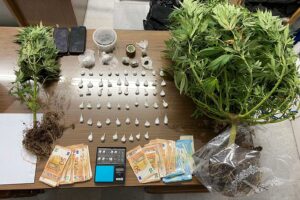 Συλλήψεις καλλιεργητών ναρκωτικών στην Αμοργό  Συλλήψεις καλλιεργητών ναρκωτικών στην Αμοργό                                                                                        300x200