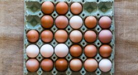 Αποσύρθηκαν 34,5 τόνοι κοτόπουλου και δεκάδες χιλιάδες αυγών ως δήθεν βιολογικά  Αποσύρθηκαν 34,5 τόνοι κοτόπουλου και δεκάδες χιλιάδες αυγών ως δήθεν βιολογικά eggs 6228077 640 275x150