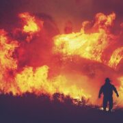 Δασική πυρκαγιά  Απάντηση του Υπουργείου Οικονομικών σε ερώτηση Μπούγα για τις πυρκαγιές dasikhpyrkagia04 180x180