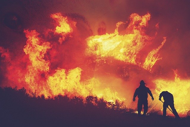 Δασική πυρκαγιά  Εύβοια: Άμεση η εκκένωση χωριών και οικισμών της Δημοτικής Ενότητας Ελιμνύων dasikhpyrkagia04