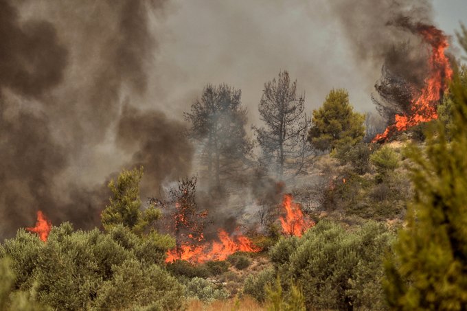 Φθιώτιδα: Πυρκαγιά σε δάσος στο Δομοκό flegomeno dasos