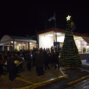 Φωταγωγήθηκε το Χριστουγεννιάτικο δέντρο στην Κεντρική Αγορά Καλαμάτας                                                                                                                                       180x180