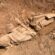 Αποκάλυψη ναόσχημου μνημείου στην Παιανία Αποκάλυψη Αποκάλυψη ναόσχημου μνημείου στην Παιανία IMG 7769 55x55