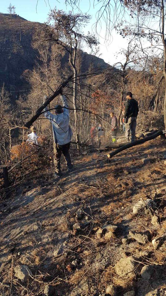 Πάνω από 700 δασεργάτες στις πυρόπληκτες περιοχές της Βόρειας Εύβοιας              6