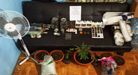Κάλυμνος: Συνελήφθησαν καλλιεργητές ναρκωτικών                                                                                         275x150
