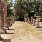 Δωρεά 150.000 ελαιόδενδρα στην Αρχαία Ολυμπία Ancient Olympia 180x180