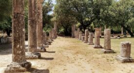 Δωρεά 150.000 ελαιόδενδρα στην Αρχαία Ολυμπία Ancient Olympia 275x150