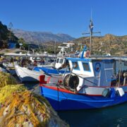 Η ΕΕ ενεργοποιεί μέτρα αντιμετώπισης κρίσεων για τη στήριξη αλιείας και υδατοκαλλιεργειών              180x180