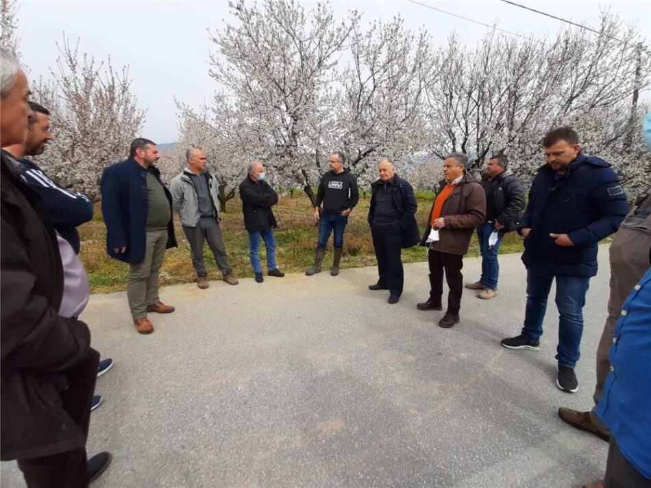 Κλιμάκιο της Περιφέρειας Θεσσαλίας επισκέφθηκε τις παγετόπληκτες καλλιέργειες Τεμπών και Τυρνάβου                                                                                                                                                                                          950x713