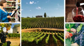 Νέο πρόγραμμα προώθησης οίνων της Στερεάς Ελλάδας στο Ηνωμένο Βασίλειο wine production 2020 21 275x150