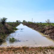 Καρδίτσα Καρδίτσα: Η Περιφέρεια Θεσσαλίας καθαρίζει τον ποταμό Λείψιμο                                                                                                  180x180