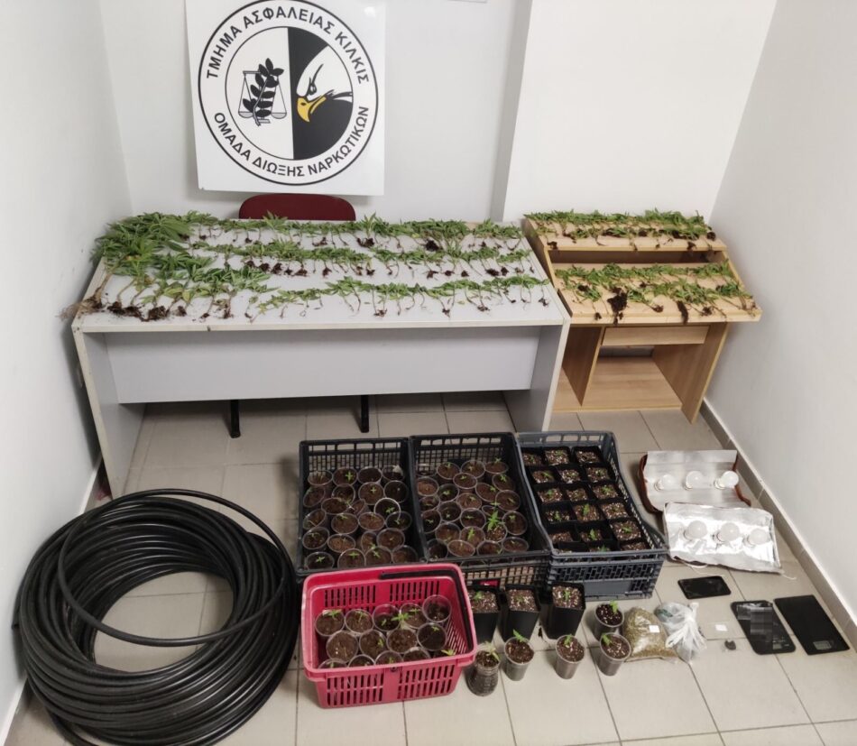 Συλλήψεις καλλιεργητών κάνναβης στη Θεσσαλονίκη                                                                                            950x827