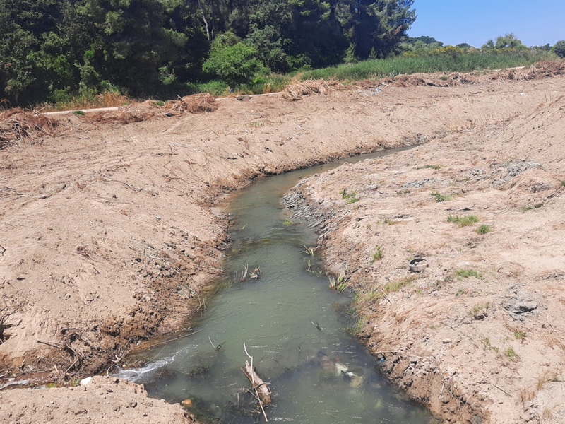 Ηλεία: Καθαρισμός Ιάρδανου ποταμού