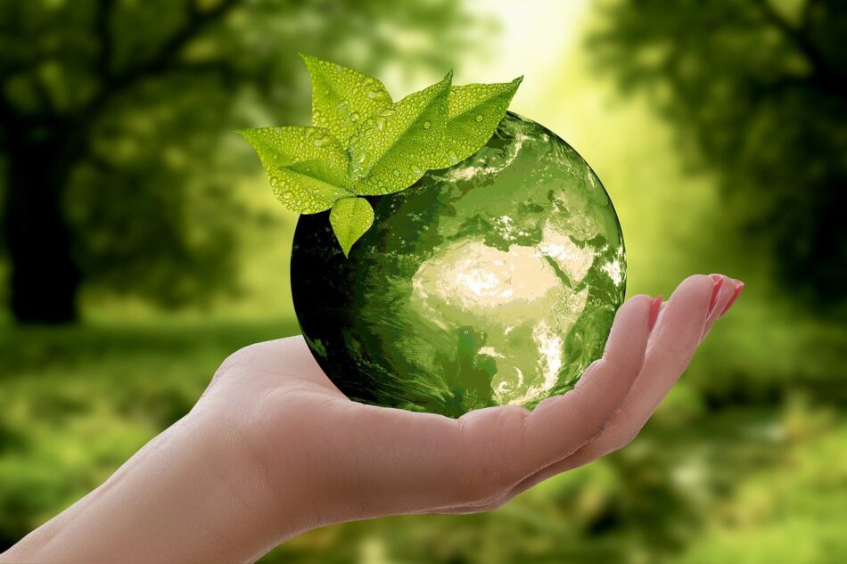 Ο Σ.Π.Ο.Α.Κ. γιορτάζει την Παγκόσμια Ημέρα Περιβάλλοντος                      950x633
