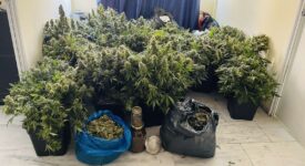 Συλλήψεις εμπόρων ναρκωτικών στο κέντρο της Αθήνας                                                                                                275x150