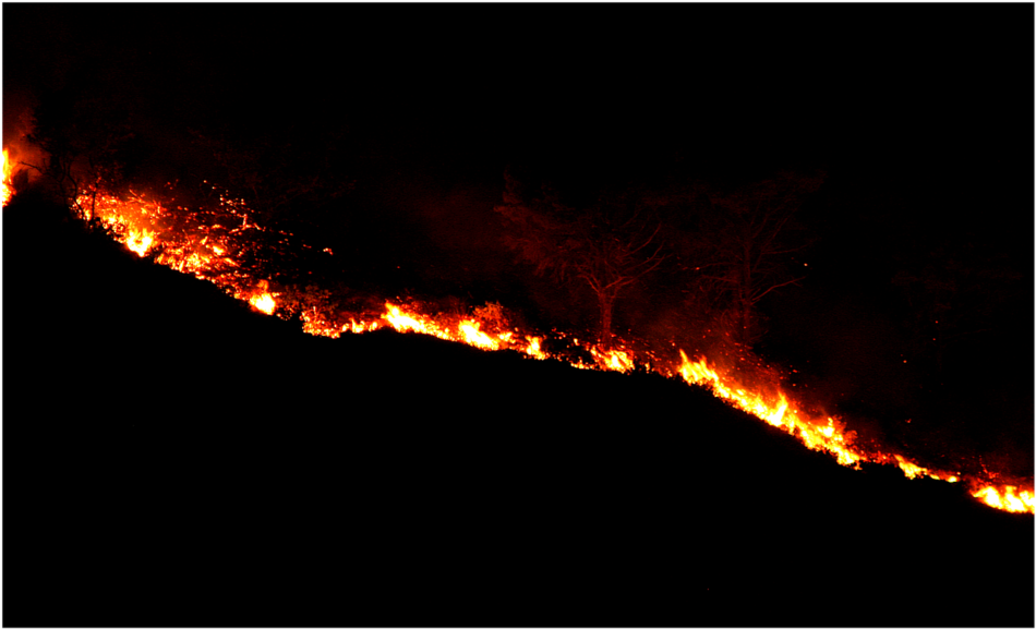 Πυρκαγιά στην Πάρο                       950x577