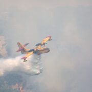 Πυρκαγιά σε δασική έκταση στο Αλιβέρι Canadair 001 180x180