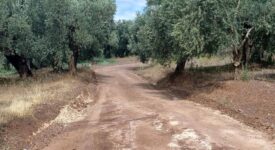 Ο Δήμος Στυλίδας βελτιώνει αγροτικές οδούς                                                                                  275x150