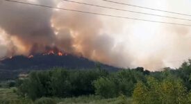 Ανακοίνωση ΠΑΣΟΚ-ΚΙΝΑΛ για την πυρκαγιά στο δάσος της Δαδιάς                                                        275x150
