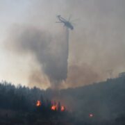 Πυρκαγιά σε δασική έκταση στο Λαγκαδά Θεσσαλονίκης FUn9QYsWIAIkmpn 180x180