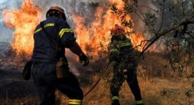 Ενημέρωση για τις δασικές πυρκαγιές σε Έβρο, Λέσβο και Ηλεία Pyrosvestes 0185 275x150