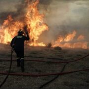 Πυρκαγιά στα Οινόφυτα Pyrosvestes 0188 180x180