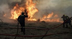 Πυρκαγιά στην Αρκαδία Pyrosvestes 0189 275x150