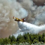 Πυρκαγιά σε δασική έκταση στην Πέλλα canadair fwtia 4 180x180