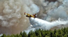 Πυρκαγιά σε δασική έκταση στην Πέλλα canadair fwtia 4 275x150