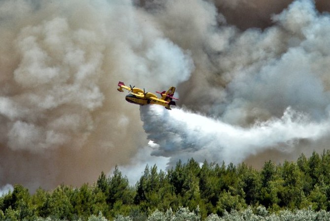 Πυρκαγιά σε δασική έκταση στην Πέλλα canadair fwtia 4