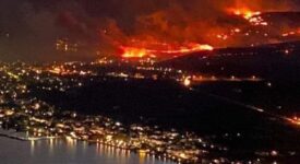 Φωκίδα: Συγκρότηση επιτροπών για την καταγραφή των ζημιών από την πυρκαγιά στον ελαιώνα της Αμφίσσης itea
