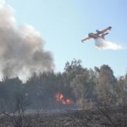 Πυρκαγιά στην Ηλεία pyrkagia canadair 1 180x180