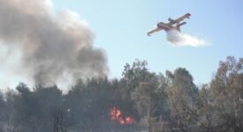 Πυρκαγιά στην Ηλεία pyrkagia canadair 1 275x150