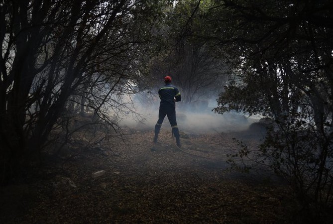 Πυρκαγιά σε δάσος στη Δράμα pyrosvestis 10
