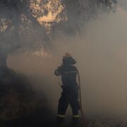 Πυρκαγιά στο Στείρι Βοιωτίας pyrosvestis 8 180x180