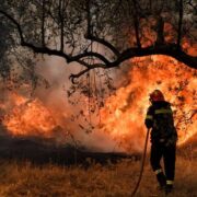 Πυρκαγιά στην Ελάτεια Φθιώτιδας pyrosvestis elaiodendra 1 180x180