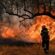 Πυρκαγιά στην Ελάτεια Φθιώτιδας pyrosvestis elaiodendra 1 55x55