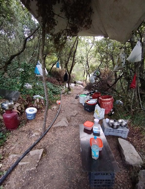 Μεσσηνία: Εντοπίστηκε φυτεία με πάνω από 3.000 δενδρύλλια κάνναβης-Αναζητούνται οι δράστες 05082022messinia002