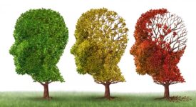 Ευαγγελία Λιακούλη Ευαγγελία Λιακούλη: Οι ασθενείς Αλτσχάιμερ, είναι δικό μας, τρυφερό κομμάτι                      275x150
