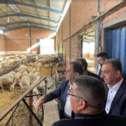 Γεωργαντάς: Ενίσχυση κτηνοτρόφων ανάλογα με τον αριθμό ζώων και την πραγματική παραγωγή                                       2 180x180