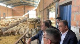 Γεωργαντάς: Ενίσχυση κτηνοτρόφων ανάλογα με τον αριθμό ζώων και την πραγματική παραγωγή                                       2 275x150