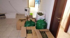 Θεσσαλονίκη: Συνελήφθησαν έμποροι ναρκωτικών με σχεδόν 10 κιλά κάνναβη 04102022thes001 275x150