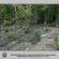 Ελασσόνα: Εντοπισμός φυτείας κάνναβης σε δυσπρόσιτη ημιορεινή περιοχή 13102022thessalia001 55x55