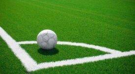 Εξασφαλίστηκε χρηματοδότηση για έργα σε γήπεδα ποδοσφαίρου της Βοιωτίας grass2 275x150