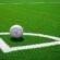Εξασφαλίστηκε χρηματοδότηση για έργα σε γήπεδα ποδοσφαίρου της Βοιωτίας grass2 55x55
