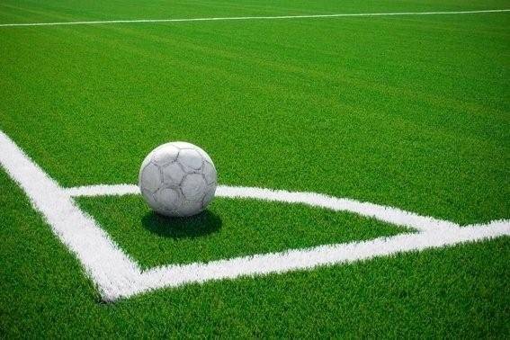 Εξασφαλίστηκε χρηματοδότηση για έργα σε γήπεδα ποδοσφαίρου της Βοιωτίας grass2