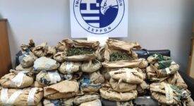 Σέρρες: Σύλληψη καλλιεργητή κάνναβης                                                                     275x150