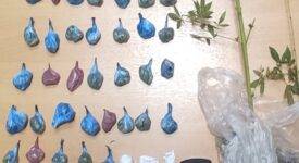Βοιωτία: Συνελήφθησαν διακινητές ναρκωτικών στον Ορχομενό                                                                                              275x150