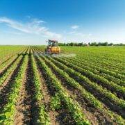 Εναρξη πληρωμής επιλαχόντων νέων γεωργών agrotes 180x180